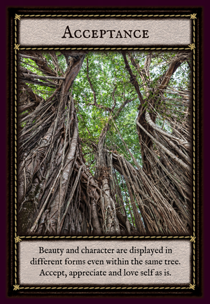 Banyan Tree Wisdom Guidance Cards