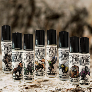 Starter Pack - Steampunk 10 ml Potions